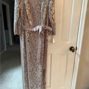 Tadashi Shoji Formal Gown Dress